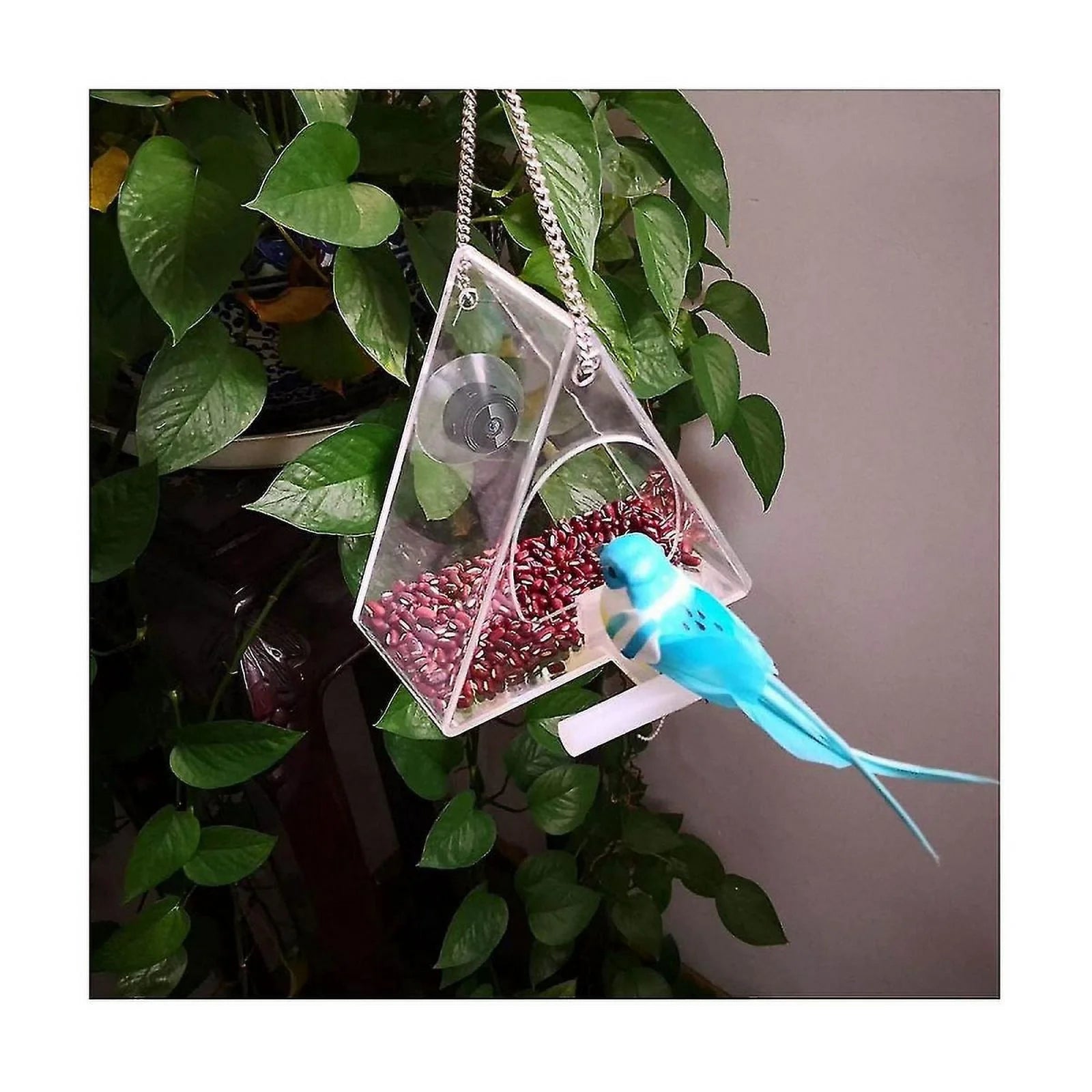 Wireless Outdoor Camera, Bird Camera House 720P Wifi Camera